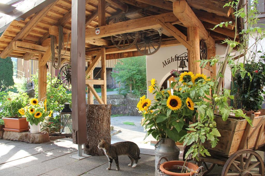 Landgasthof Untere Muehle 阿皮斯班奇 外观 照片